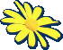 morristownfitness002011.gif