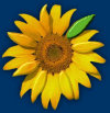 morristownfitness003012.jpg