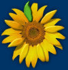morristownfitness004012.jpg
