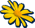 morristownfitness005009.gif