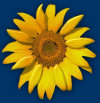 morristownfitness005015.jpg